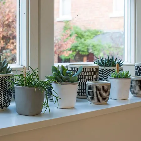 شقة La Garconniere De Wiertz - Esc'appart *